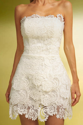 Yuico Lace Strapless Mini Dress