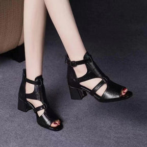 [50% OFF] Sandália Gladiadora Veneza - Frete GRÁTIS
